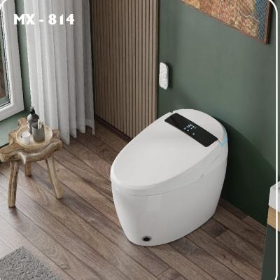 Bồn cầu thông minh MX - 814